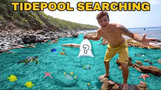 CATCHING FISH & INVERTEBRATES out of REMOTE TIDE POOLS!!