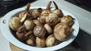 how to make CNY arrowhead chips | Chinese new snack | homemade