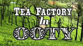 Ooty Tourist Place/Tea Factory In Ooty/TamilNad Tourism/Indian Tourist Place/Chocolate Factory