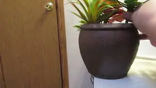 Artificial Succulent Plants