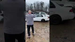 Junk yard dog!