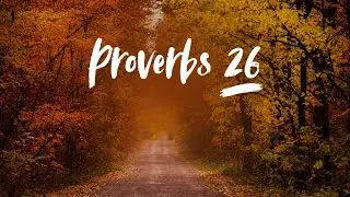 Proverbs 26 NLT | Holy Scripture Narrated