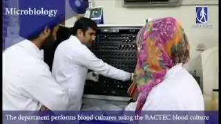 Chughtai Lab's Microbiology Department