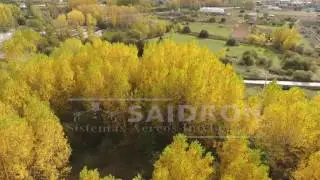 Saidron -Oto&ntilde;o en el Bierzo