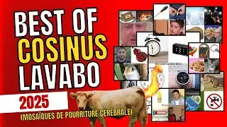 TOUTES les mosa&iuml;ques de pourriture c&eacute;r&eacute;brale de COSINUS LAVABO (2025)