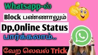How To See Blocked Whatsapp Dp, Online Status In Tamil 2021 | Animat Tamilan