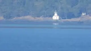 Members of J Pod of Endangered Southern Resident Killer Whales in Haro Strait, Thursday, June 1 2023