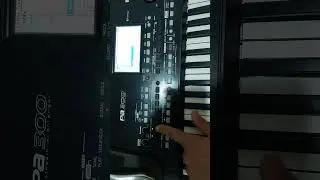 Como usar Pedal no teclado korg Pa300