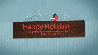 Happy Holidays from Cummings School!