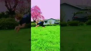 BANGARANG