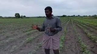 Modicare ActivMax use Crop&Other Brand useCroup  Result