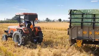 Farmtrac 60 | Arjun 555 power plus | Combine VS Gilla Khet