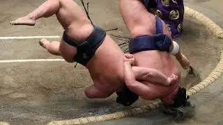 🩸🔥横綱・豊昇龍、流血の取り直し制し1敗死守！🏆横綱・大の里＆新大関・安青錦が並走⚡阿炎敗れ全勝消滅、優勝争い激化