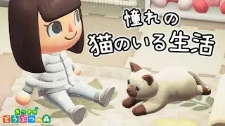 【あつ森】猫を飼い始めます。【あつまれどうぶつの森】