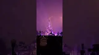Disneyland Paris | Fireworkshow | Februar 2025