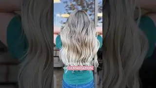 This is how Base Breaking Blonde Hair works 👀 #blondehaircolor #haireducation