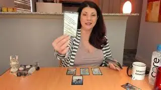 Gemini 2019 Forecast