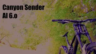 Canyon Sender AL 6.0 in detail // 4K //