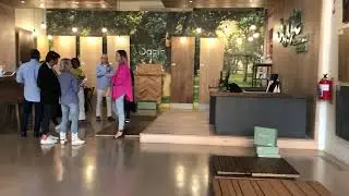 A Visit to Oggie Hardwood Flooring S1E5