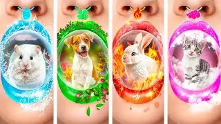 I Saved 4 Elements Pets from Jail! Fire, Water, Air and Earth Pets