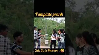 Pamplet Prank 🤪 #funny #prankvideo #comedy #funnyprank #shortsfeed #ytshorts #shortvideo #shorts