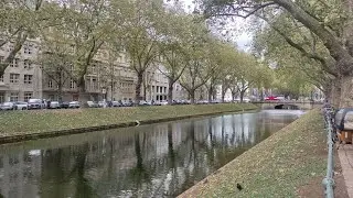 Мой взгляд | Сентябрь,  2023г. | Дюссельдорф