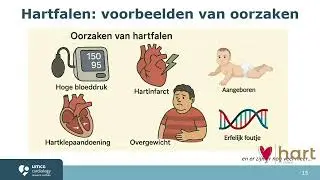 Webinar Hartfalen Laura Meems | Cardioloog en Onderzoeker UMCG | 25-5-2025
