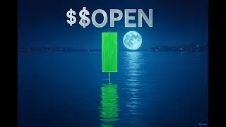 SRNA Trader Recap | How I Managed Risk on the $OPEN Trade