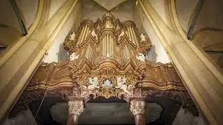 Stay with me till de morning, Hinsz orgel Bovenkerk Kampen