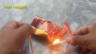 Experiment of fire with tasty cup cakes in different way| What Happens| USA experiment videos