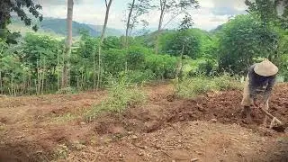 Village Life: Manual Soil Preparation in Difficult Conditions _FarmersLife _Shorts