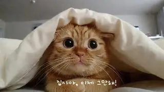 [Playlist] 오늘은 이 정도면 충분해 | 마음을 쉬게 하는 플레이리스트