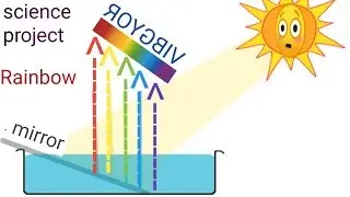 Rainbow Experiment with water and Mirror | Science Experiments | Science Project