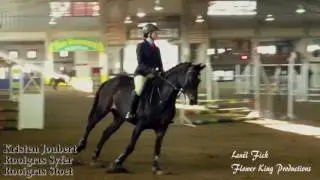 SA Boerperd Nationals' Showjumping 60 cm Precision and Speed