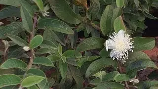 আসেন সবাই মন খুলে গল্প করি