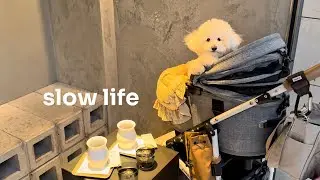 愛犬と過ごす日常vlog｜slow life in Tokyo dog vlog