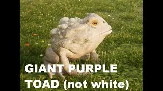 Giant Purple Toad - Catch and Care - Hogwarts Legacy