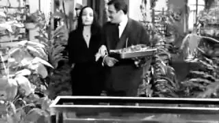 Masochism Tango The Addams Family