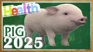 Pig Horoscope 2025 | Health | Born 2019, 2007, 1995, 1983, 1971, 1959, 1947, 1935