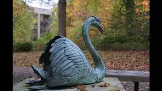Tawes Garden Annapolis Maryland Upclose Detailed