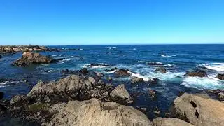 Vanabode to the Mendocino Botanical Gardens Shoreline
