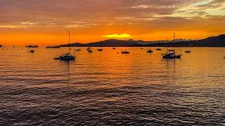 Whale Watching, Hiking, Suspension Bridge￼s and Helicopter Ride Vancouver BC Canada