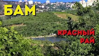 И в КРЫМУ есть свой Бам | АЛУШТИНСКИЕ ОЗЁРА как живут ЦИКАДЫ Красный рай цикадный край