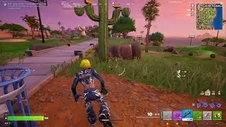 Fortnite_20260109151223