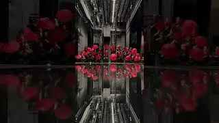 #trending song 🎶#dancing song Chinese art beautiful umbrella dance.