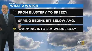 Chicago Weather: From Blustery To Breezy Sunday Night