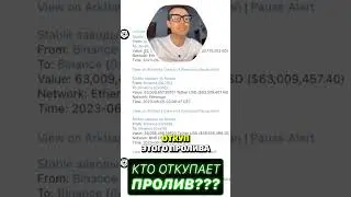 Кто манипулирует рынками? ОПГ Сатоши Накомото.