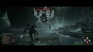 Acromantula weakness - Hogwarts Legacy