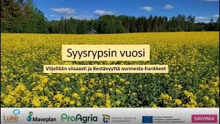 Syysrypsin vuosi