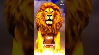 ✝️ Beasts of Revelation UNLEASHED #bible #revelation #gospel #shorts #animals